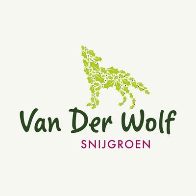 Logoontwerp Van Der Wolf - Design Domein - Reclamebureau in Bodegraven-Reeuwijk